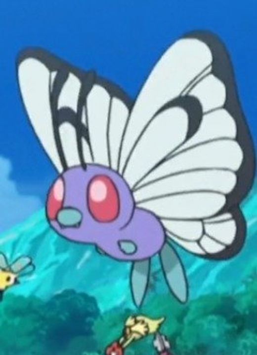 Butterfree Pokémon