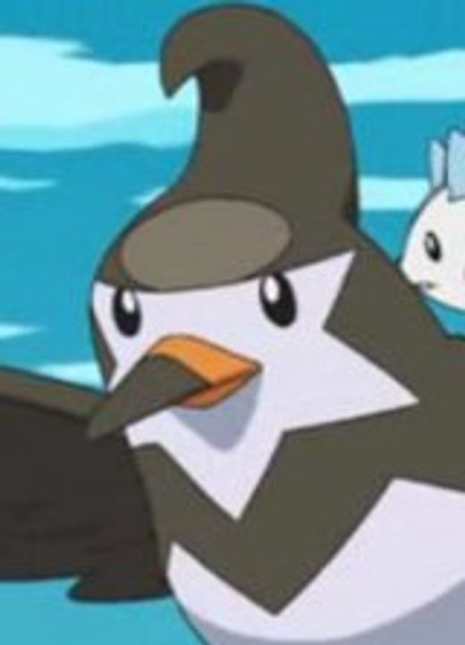 Staravia Pokémon XY