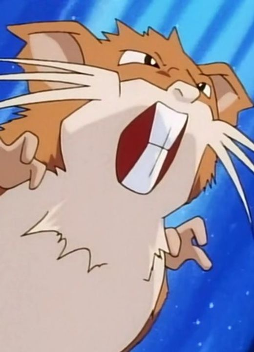 Raticate Pokémon